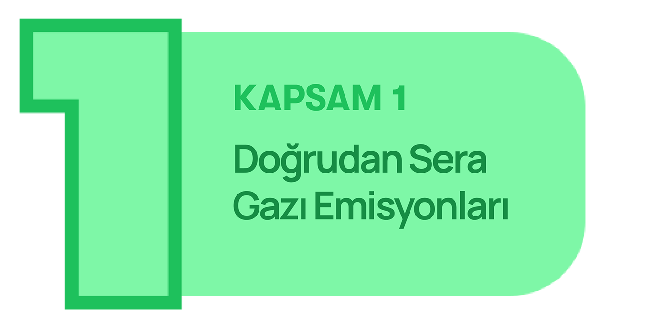 Verified Carbon Standard